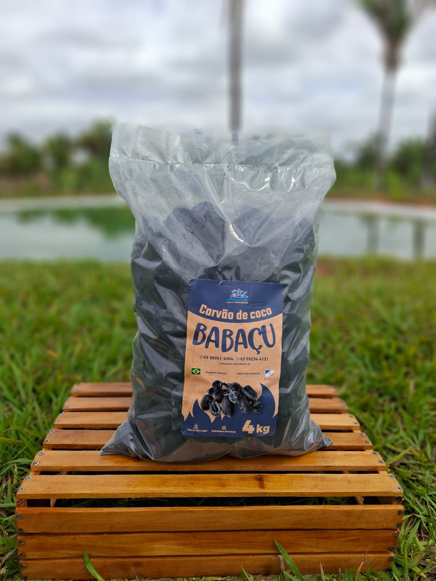 Carvão de Coco Babaçu produzido na associação